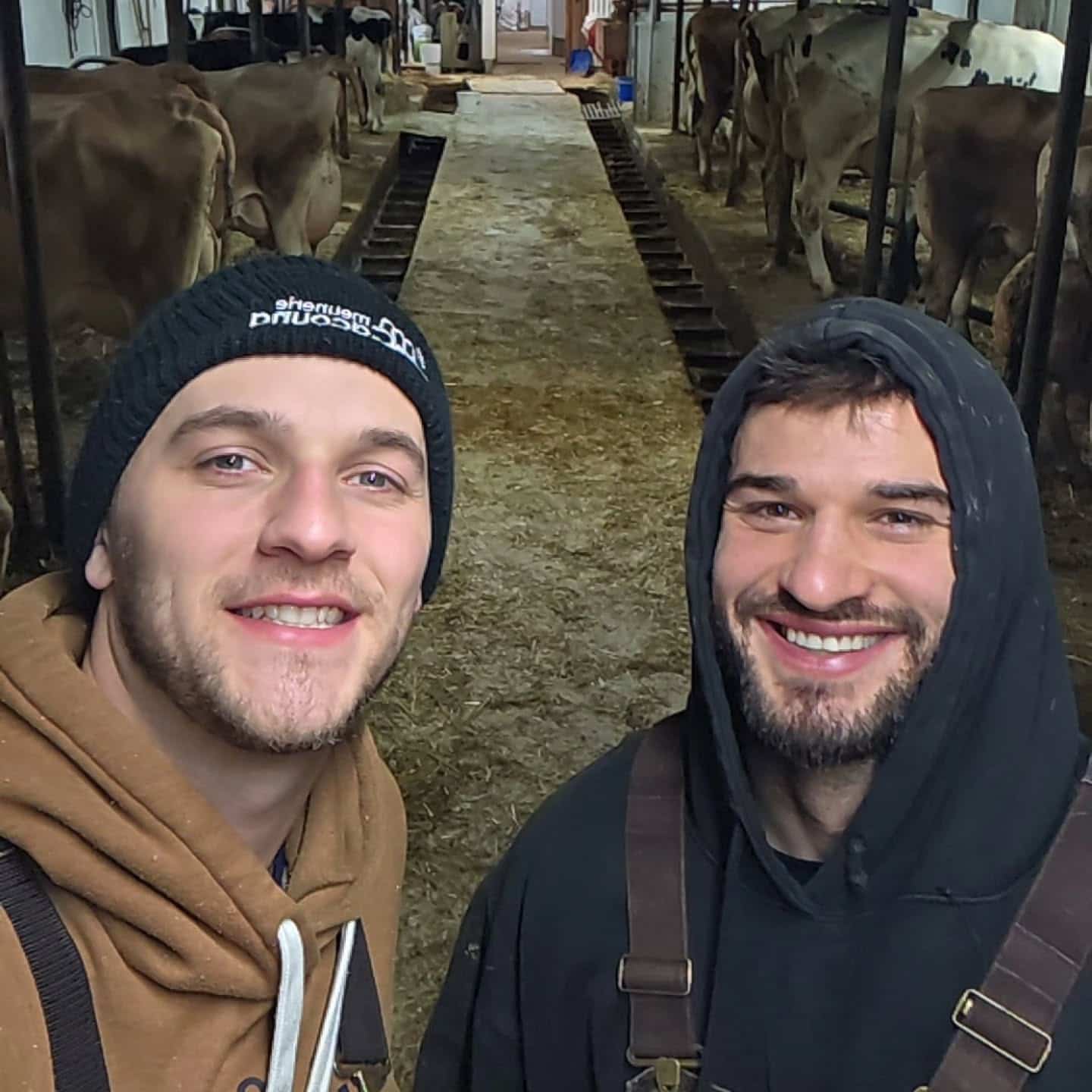 Image principale de l'article Nathan et son nouveau chum Keveen à la ferme