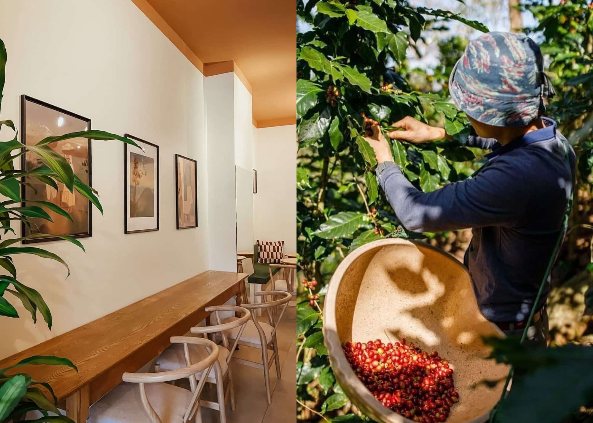 Café Nawat: des saveurs d’Amérique Latine