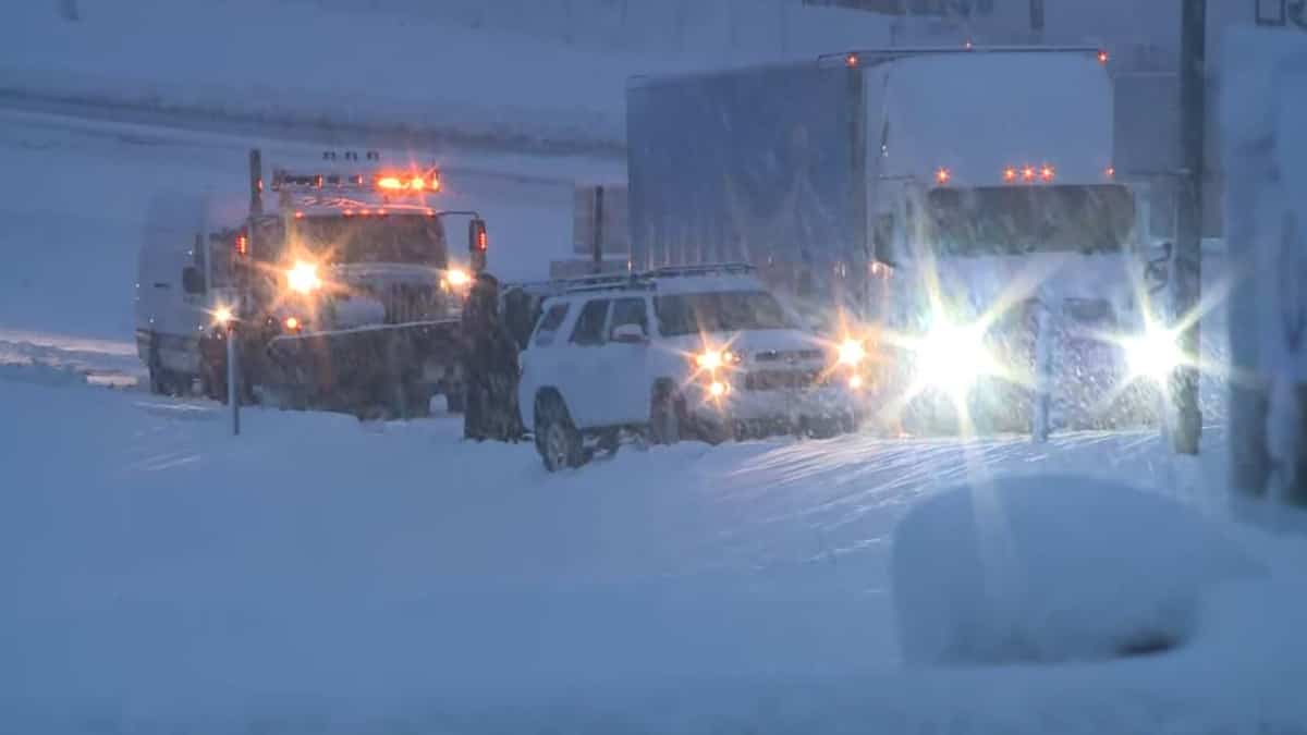 Enneigement record en Californie