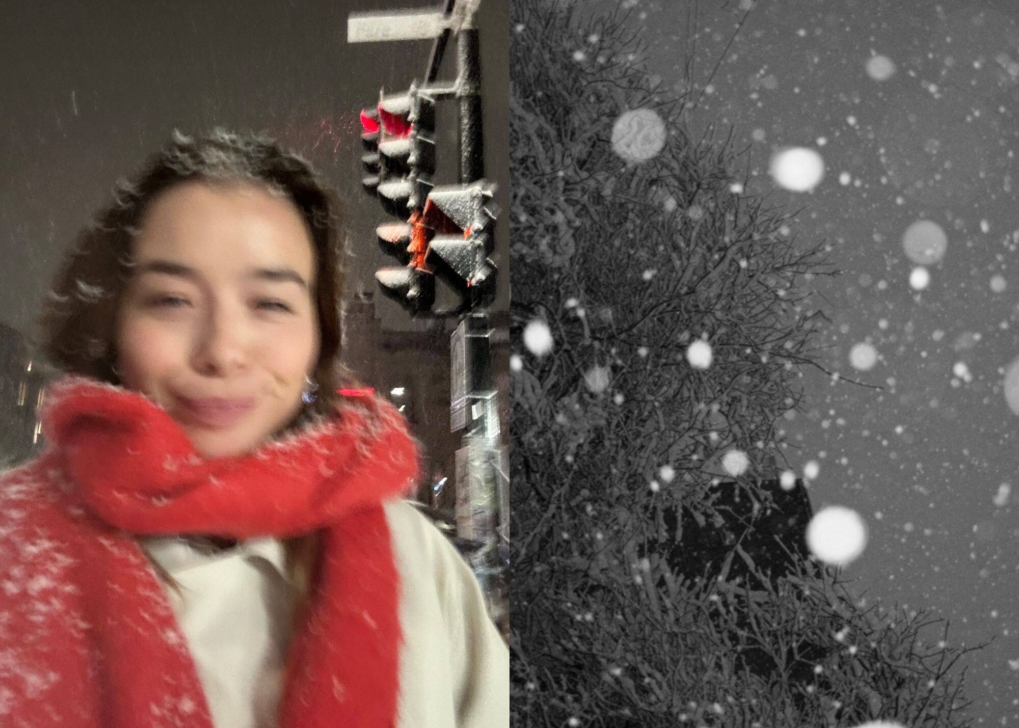 71 photos magiques de la première neige à Montréal