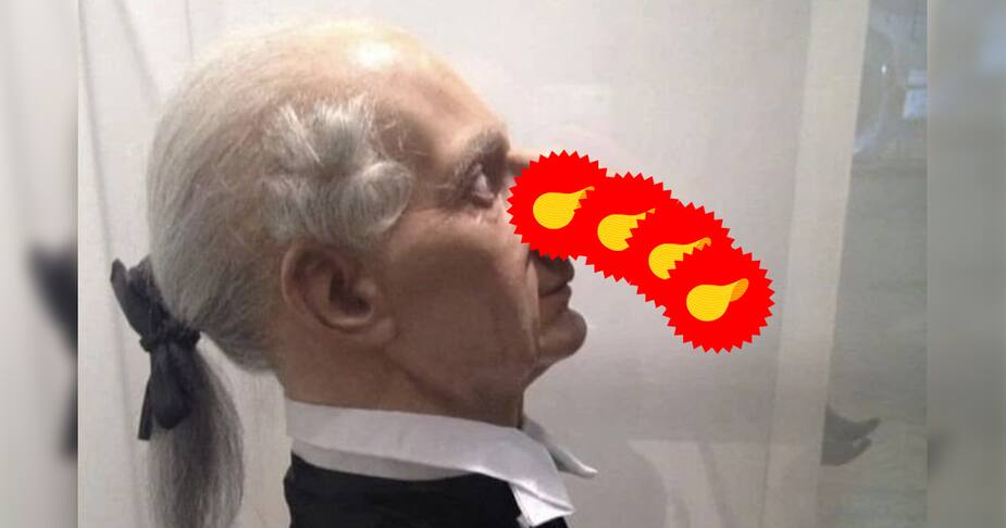 Image principale de l'article Une photo du plus gros nez est devenue virale