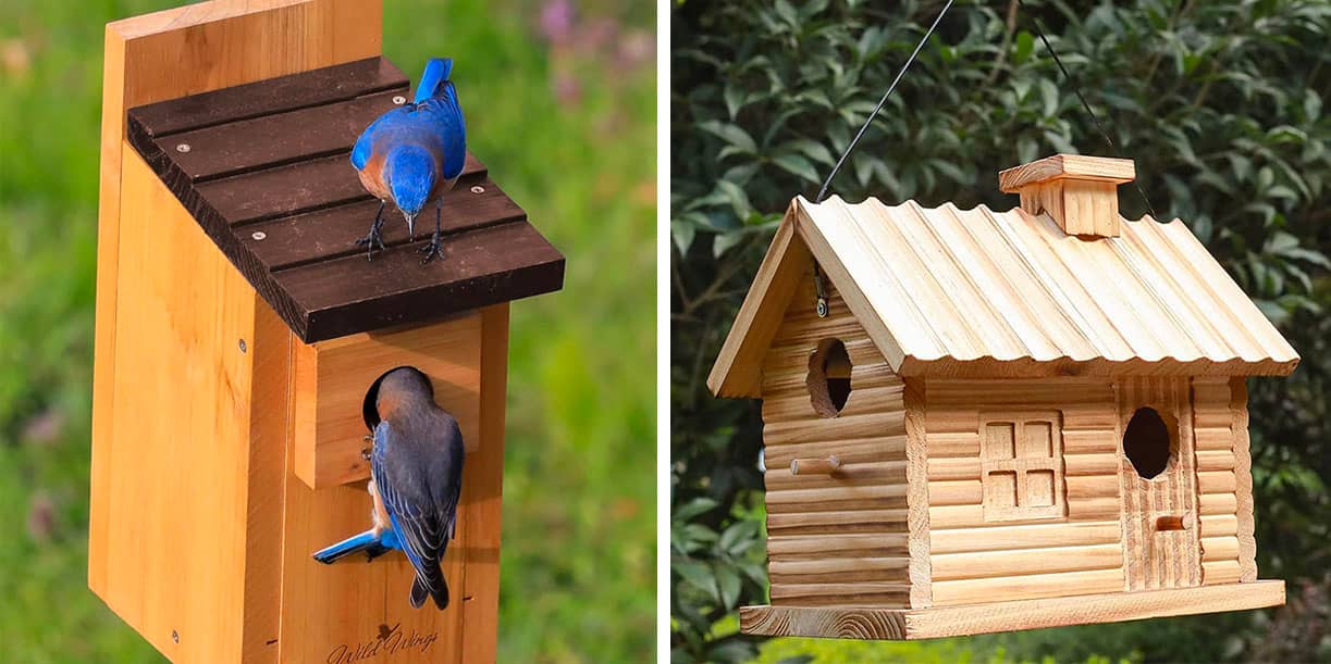 Comment installer un nichoir dans son jardin ?