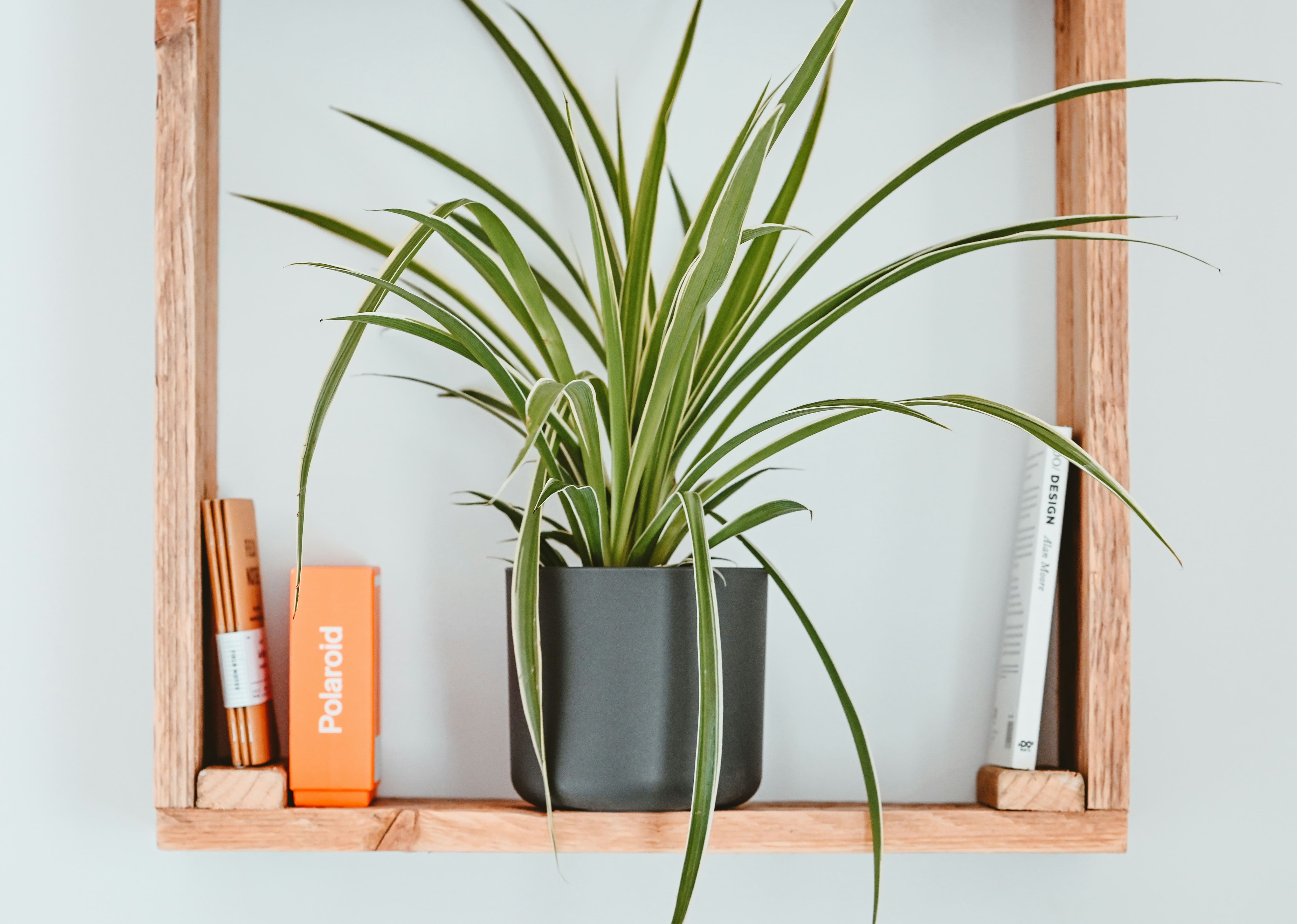 5 trucs pour vérifier s'il y a des caméras cachées