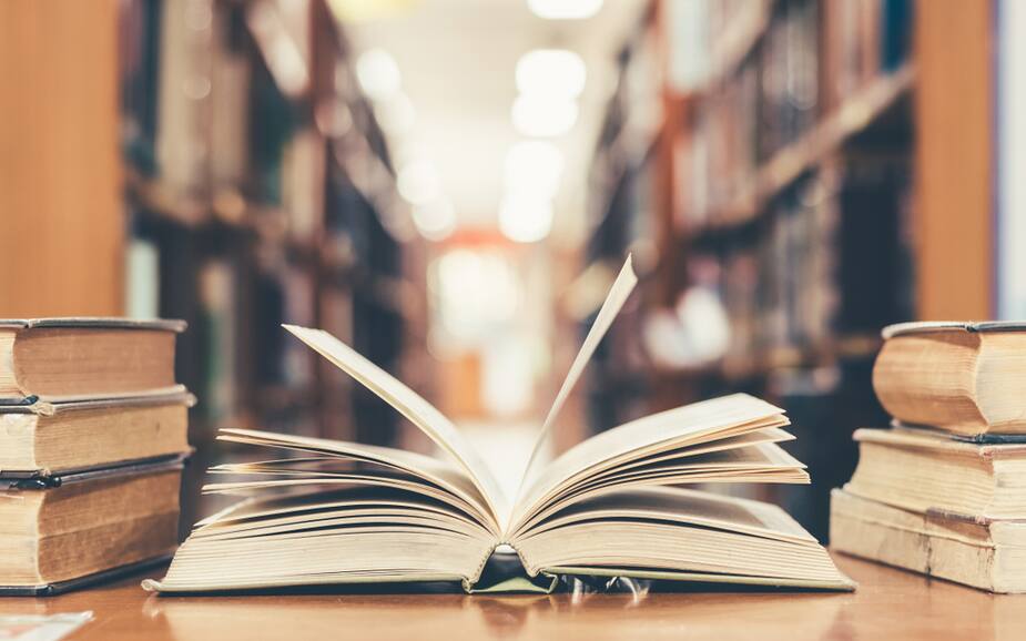 Image principale de l'article Les nouveaux mots surprenants du dictionnaire