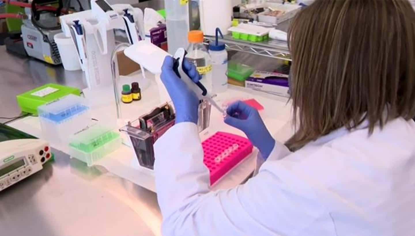 Un vaccin contre l’allergie à l’arachide en développement Un vaccin contre l’allergie à l’arachide en développement