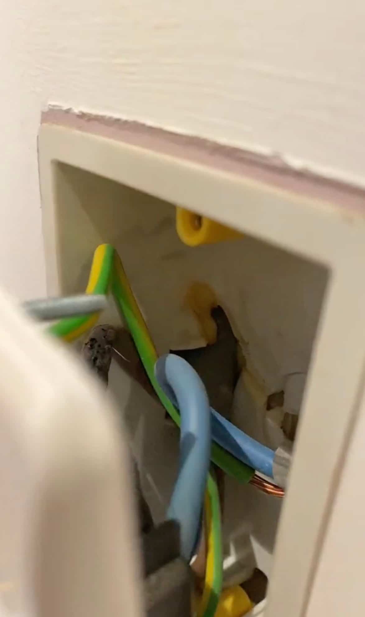 Fishy Smell A Surprising Sign of Electrical Problems Explained Archyde