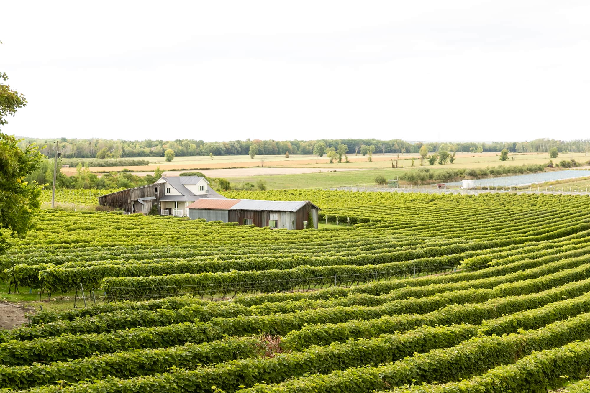7 activit&eacute;s gratuites ou pas ch&egrave;res pour d&eacute;couvrir Oka et ses environs