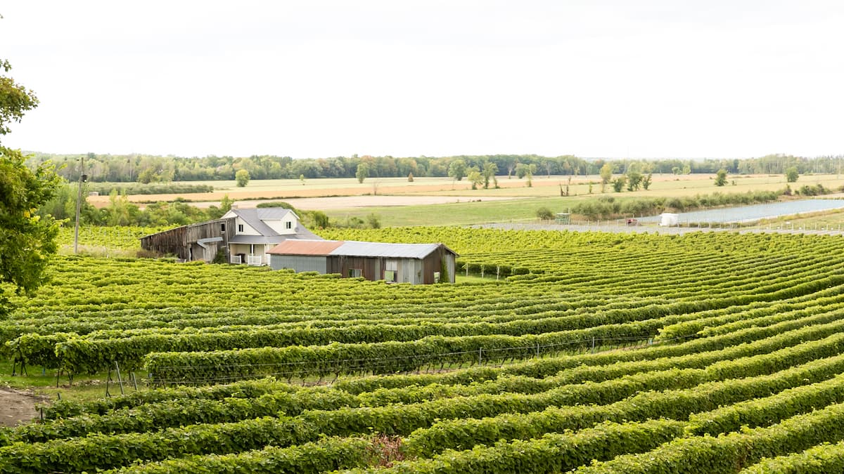 7 activités gratuites ou pas chères pour découvrir Oka et ses environs