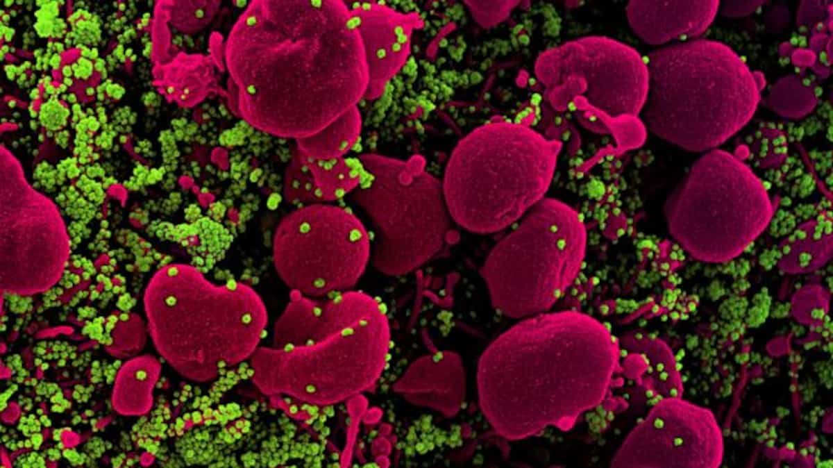 Voici ce qu’on sait sur les symptômes d’Omicron