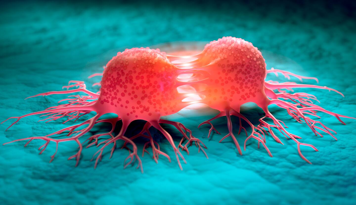 Un vaccin anticancer prometteur Un vaccin anticancer prometteur