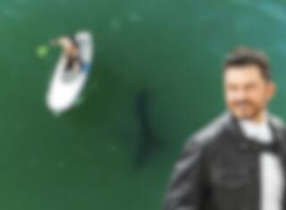 Rencontre surprise avec un requin