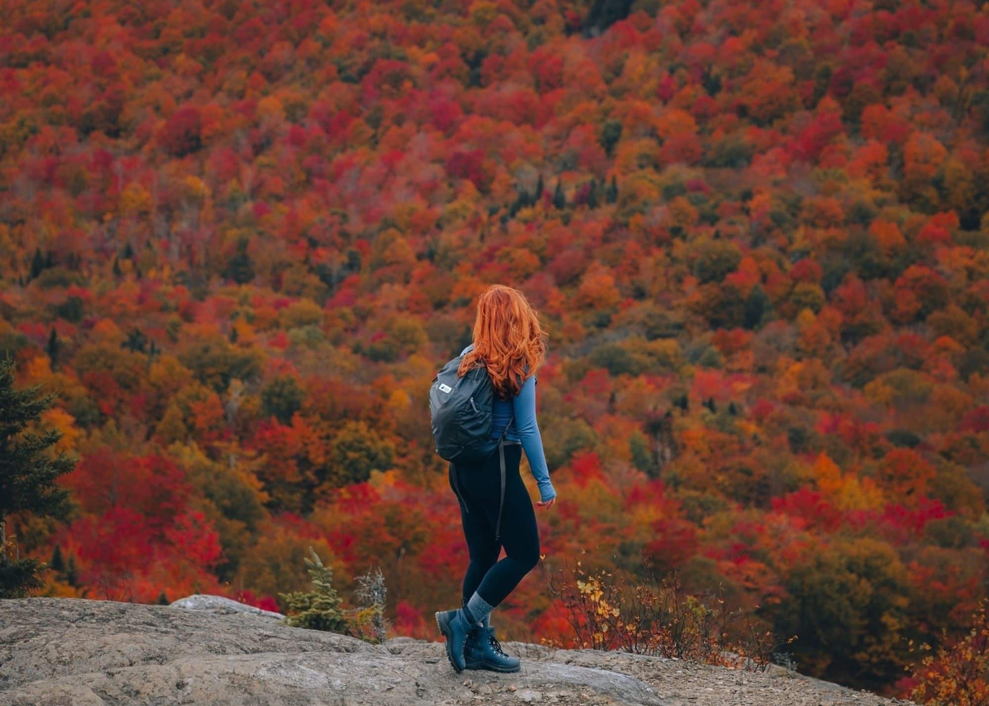 Image principale de l'article Où partir en octobre au Québec? 