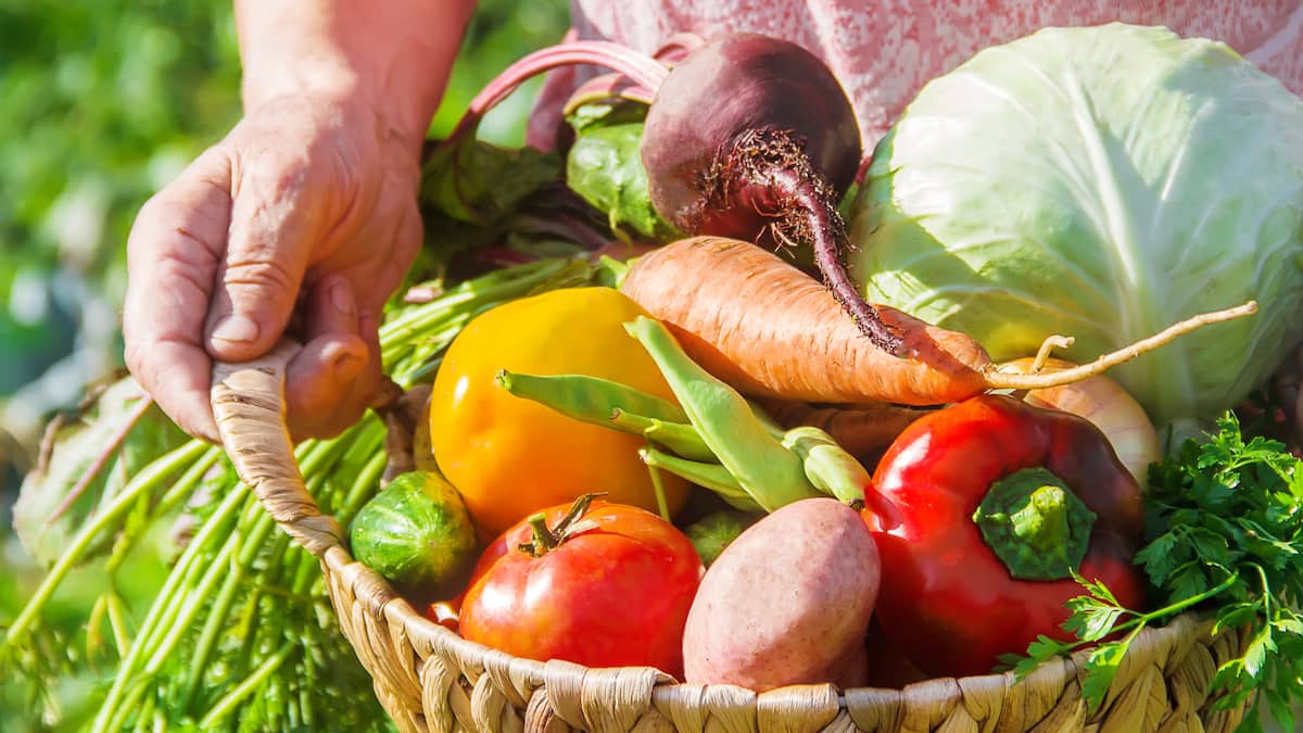 Producteurs de fruits et légumes en péril: «ça va être très difficile de passer à travers»