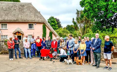 Pony is elected mayor of his city, then banned from the local pub