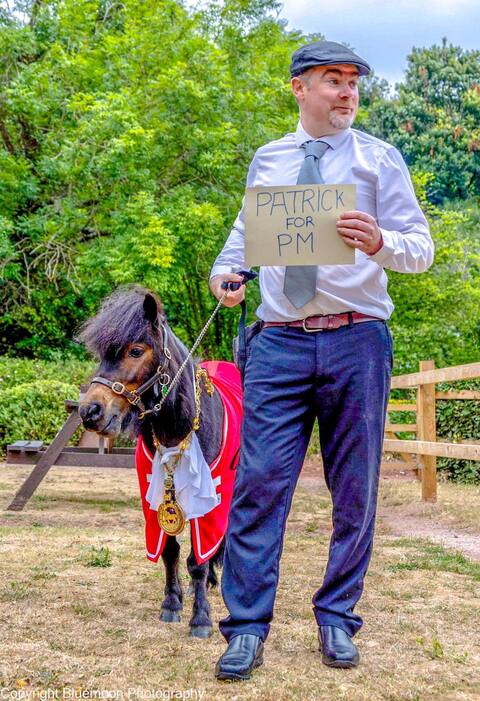 Pony is elected mayor of his city, then banned from the local pub