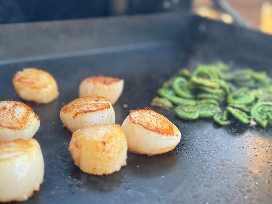Grâce à sa grande surface de cuisson, une plancha permet de bien caraméliser des pétoncles, sans risquer qu’elles ne braisent dans le jus de cuisson. Ici, j’ai aussi cuit des têtes de violon à feu plus doux en même temps. C’était délicieux.