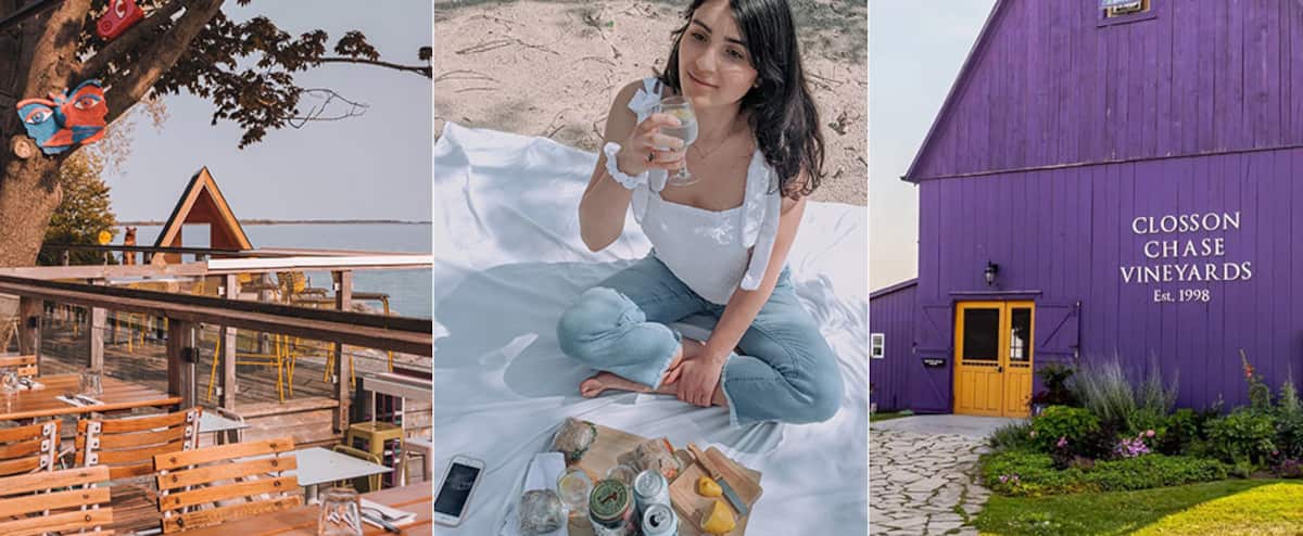 Sandbanks: 21 choses à faire dans le Prince Edward County en Ontario