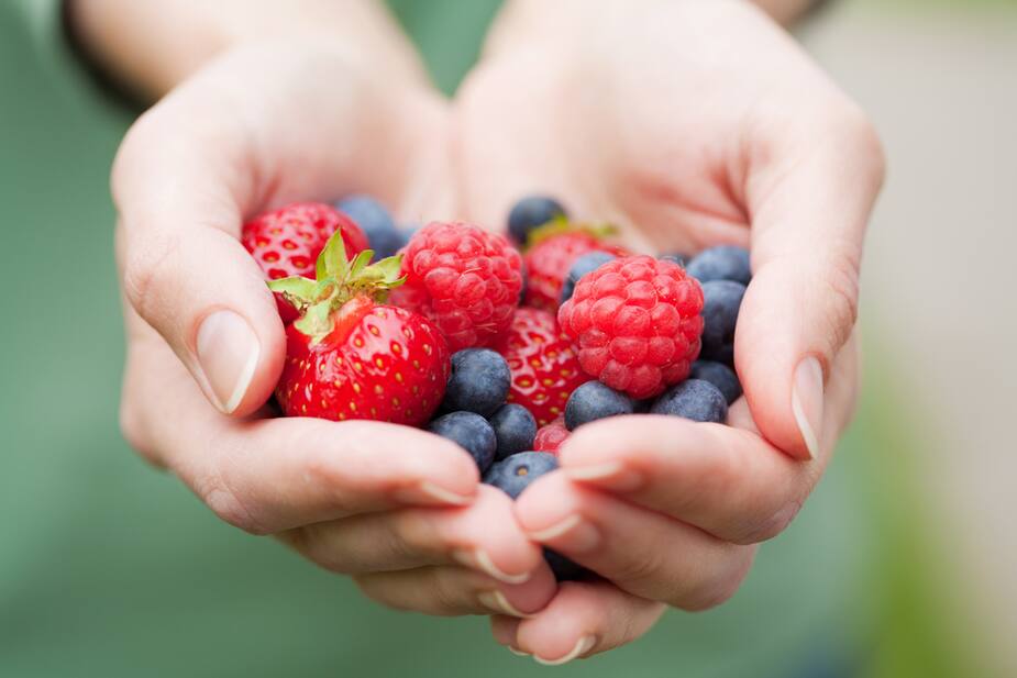 Image principale de l'article Comment congeler ses petits fruits?