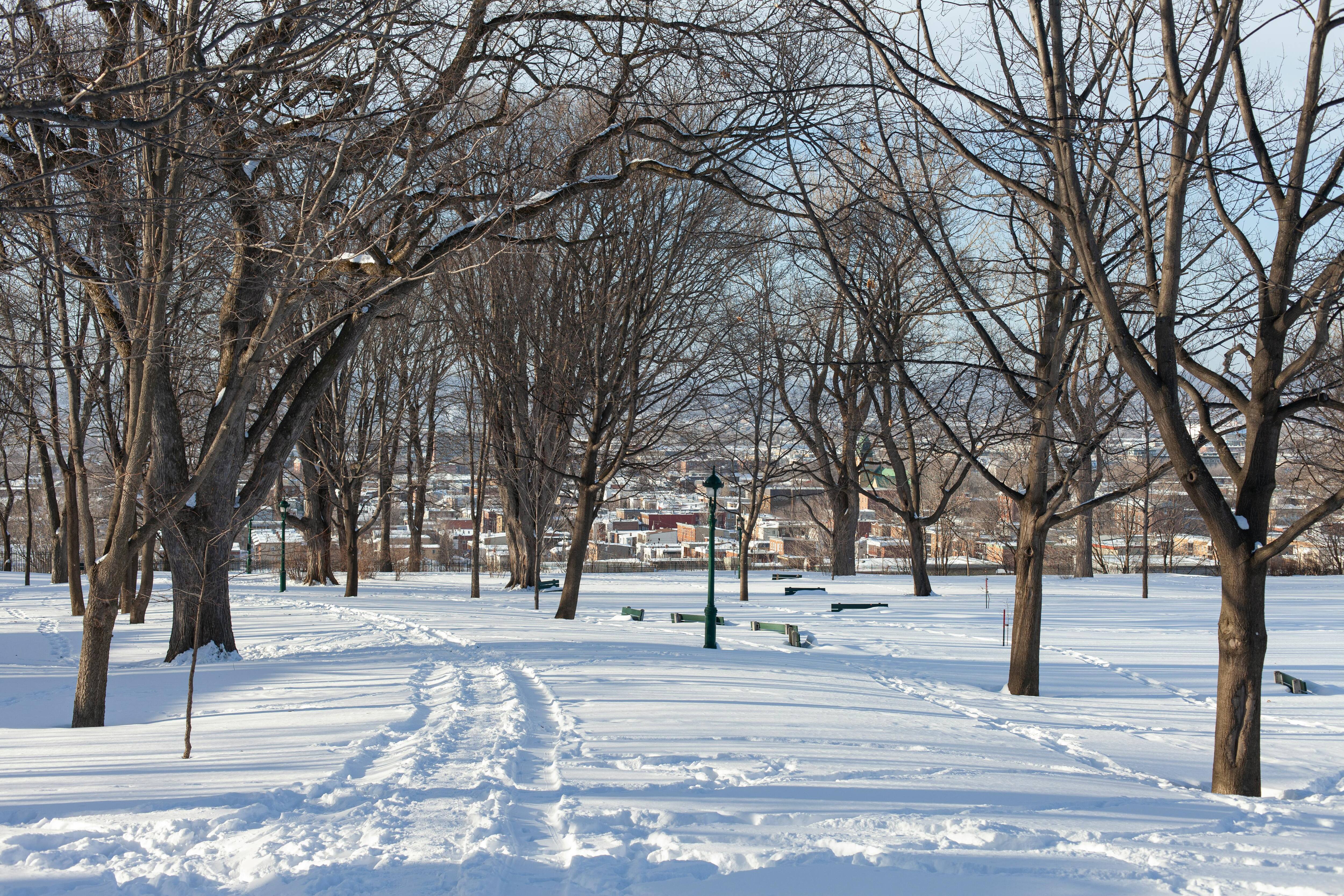 Voici les quantités de neige reçues par région
