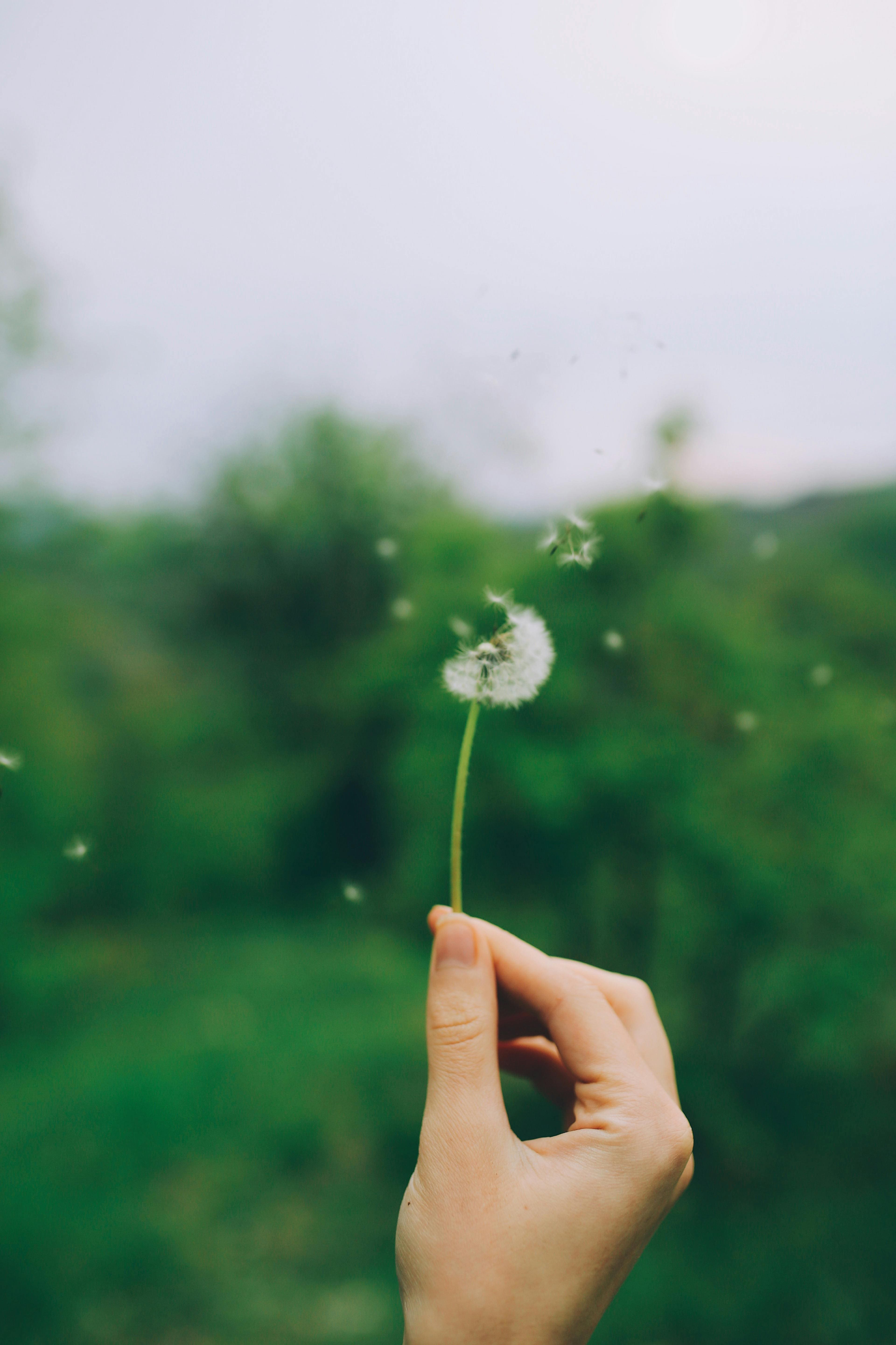 Why Seasonal Allergies Are Worse in 2026: Causes and Relief