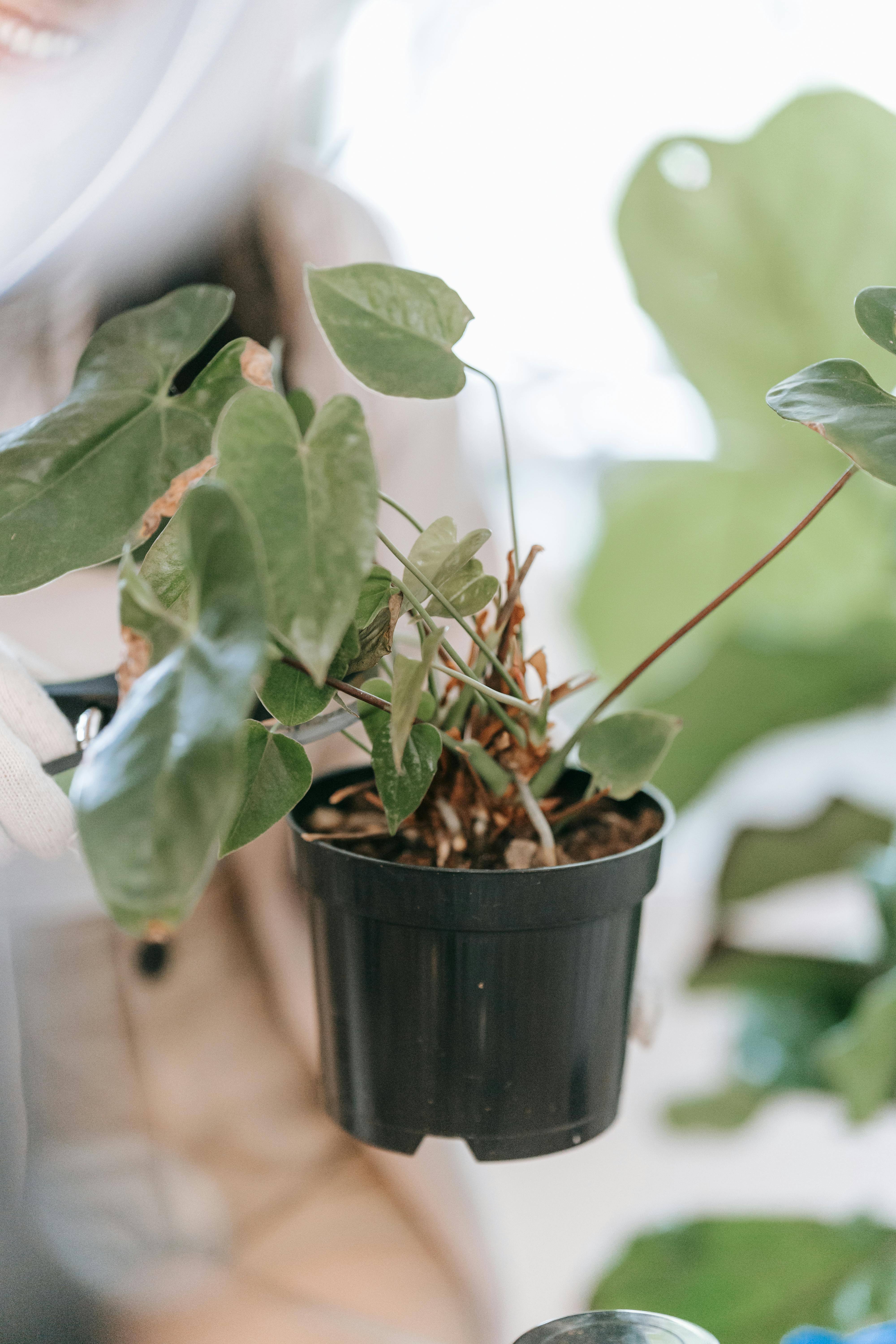 Bien travailler la terre, avec la terre 