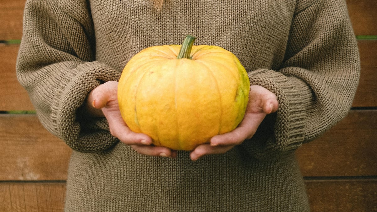 Voici pourquoi la saison des citrouilles risque d’être repoussée cet automne