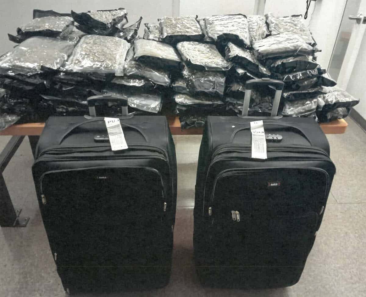 Deux employés d’Air Canada accusés d’avoir caché 62 kg de cocaïne dans des bagages