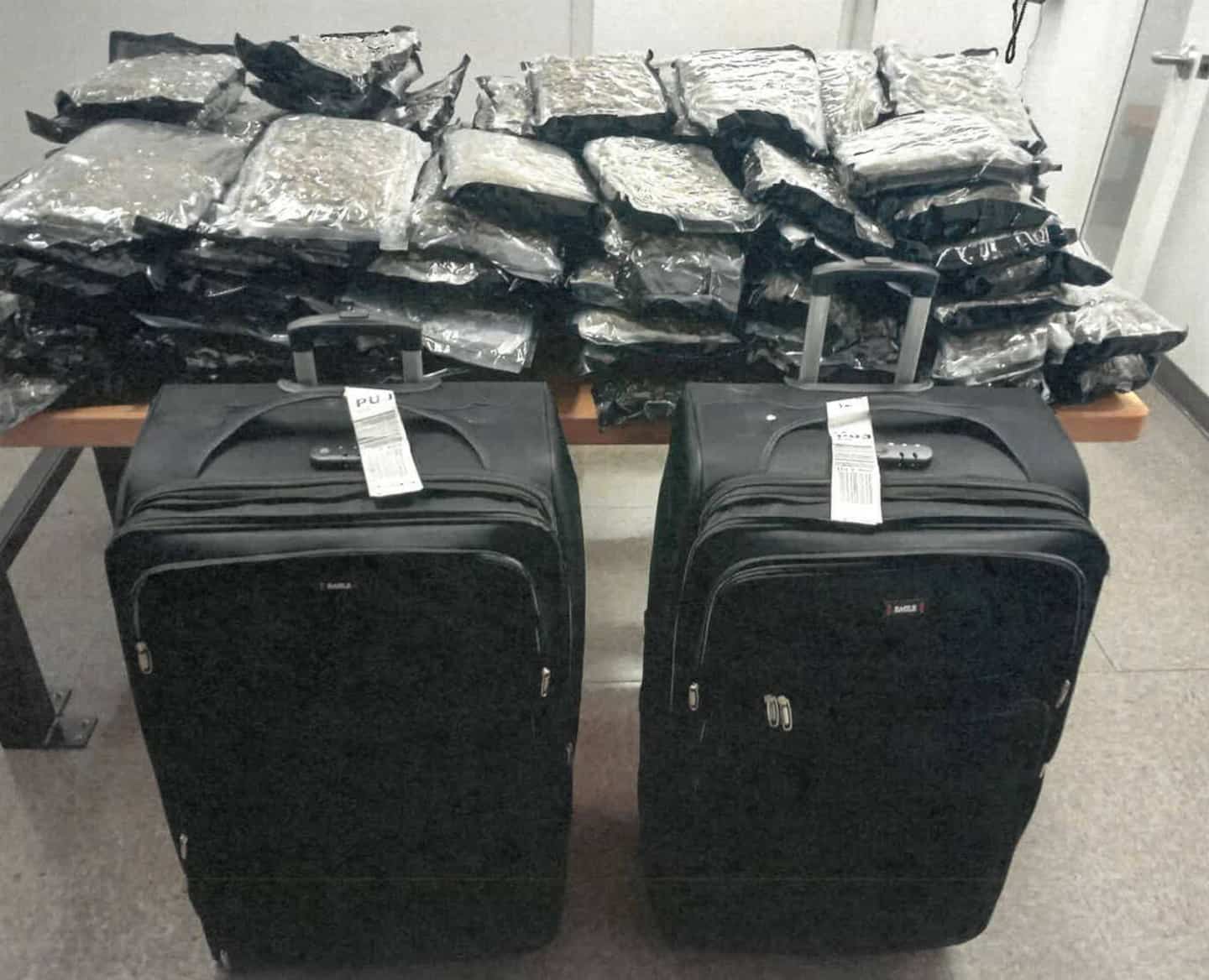 Deux employés d’Air Canada accusés d’avoir caché 62 kg de cocaïne dans des bagages