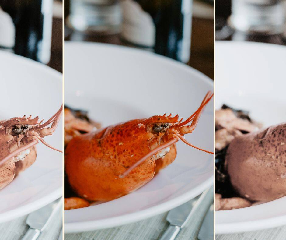 Un homard pour nourrir 20 personnes