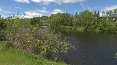 Création du premier paysage humanisé du Québec à L’Île-Bizard | TVA ...