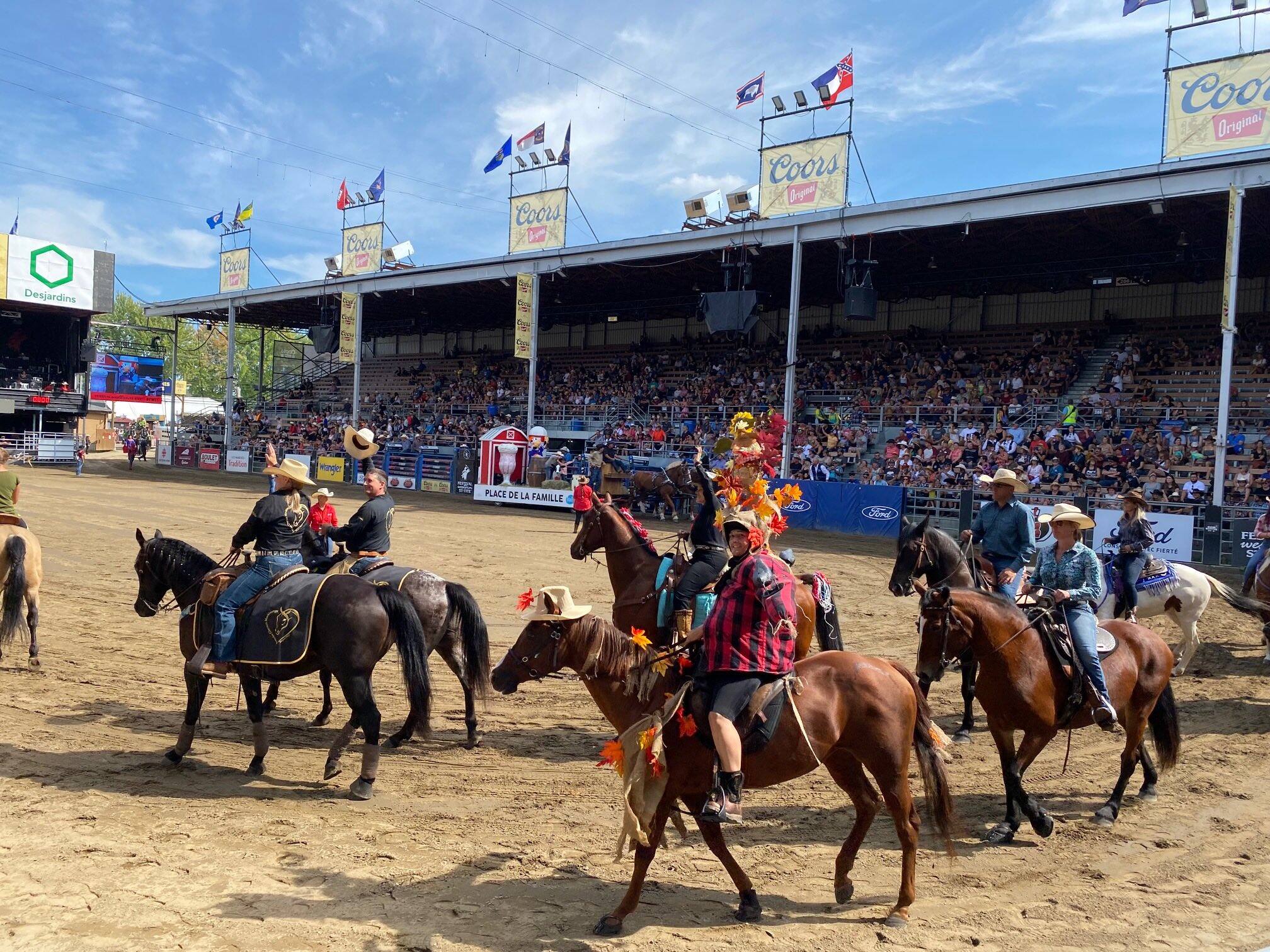 Accident de rod&eacute;o au Festival Western de St-Tite : un bouvillon perd la vie