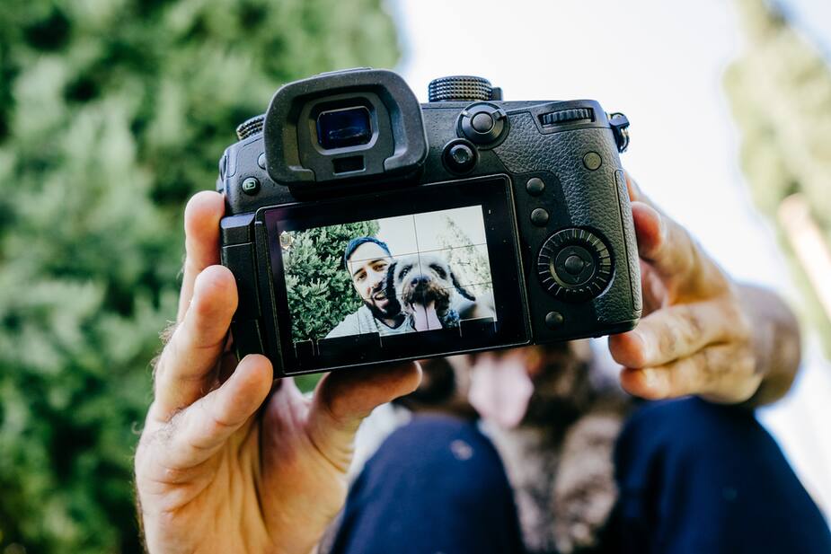 Image principale de l'article Les chiens facilitent les rencontres amoureuses