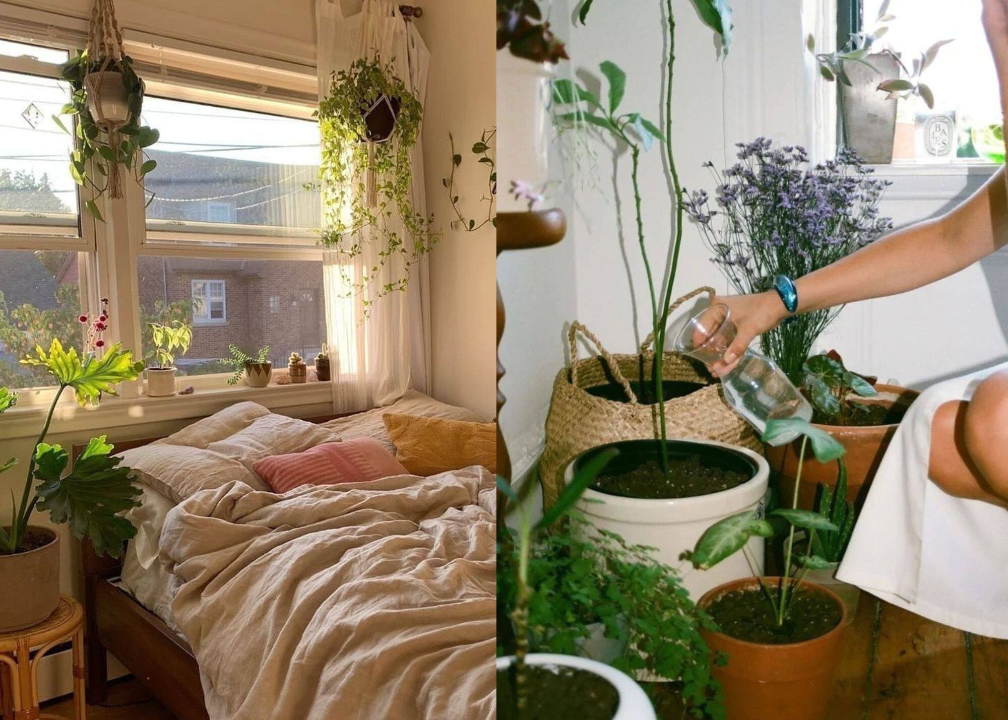 Image principale de l'article Un arrosoir design sous les 10$ à se procurer