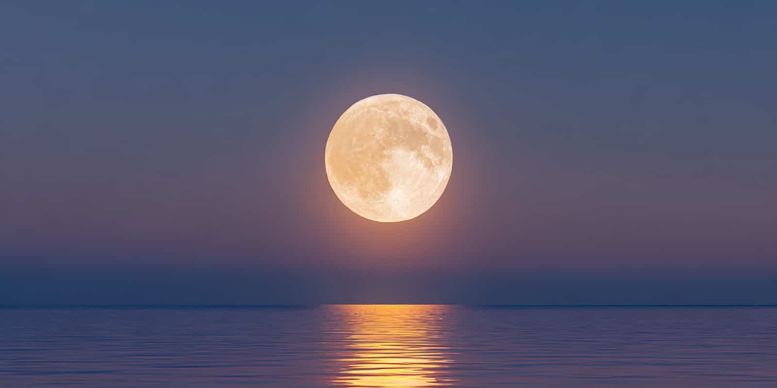 Lamhard onlyfans nude leaks sassy chit-chat, great eye