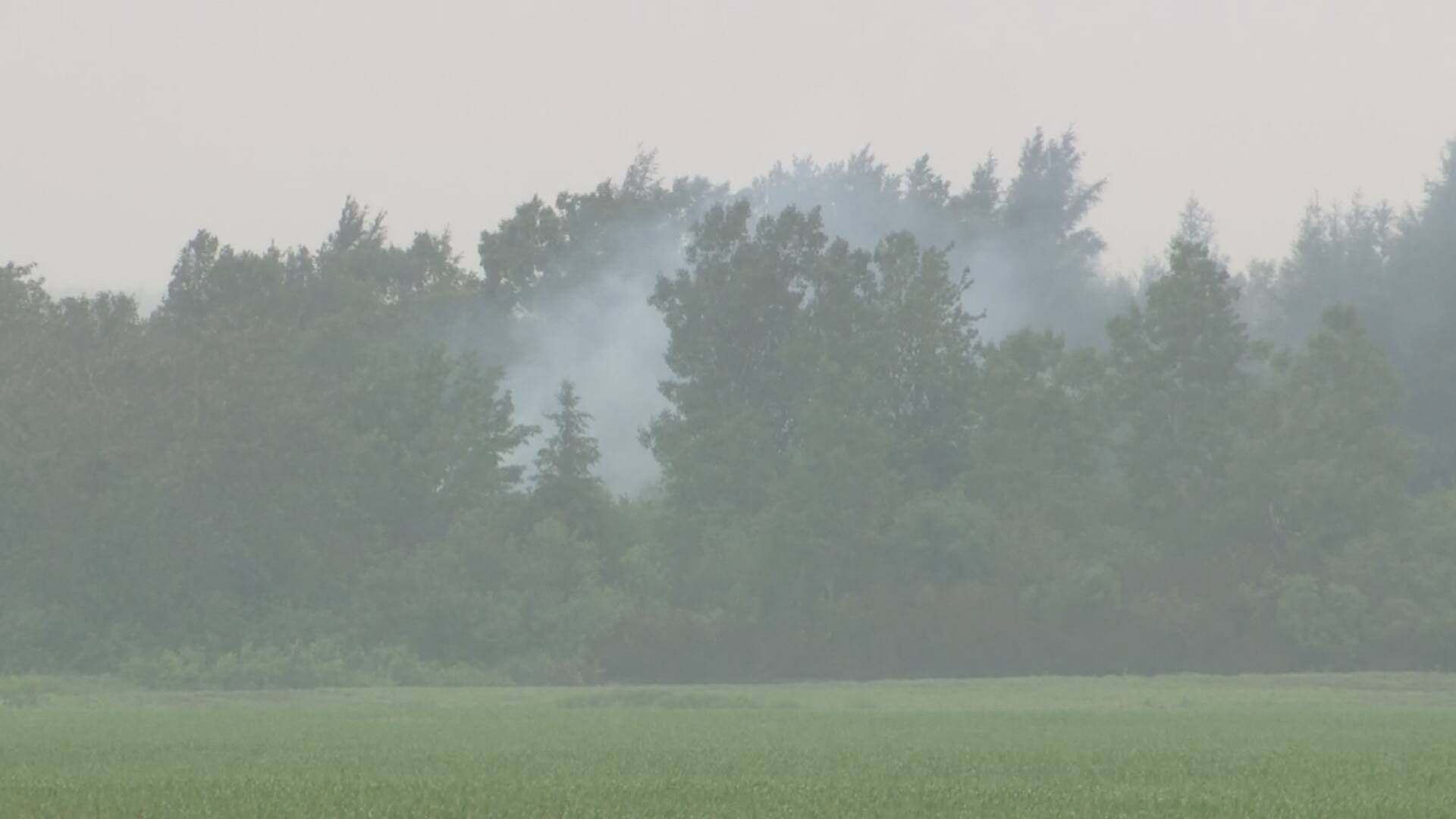 La pluie aide à contenir les feux de forêt TVA Nouvelles
