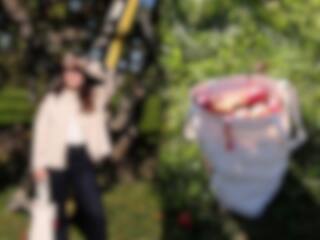 Voici à quoi ressembleront les pommes du futur