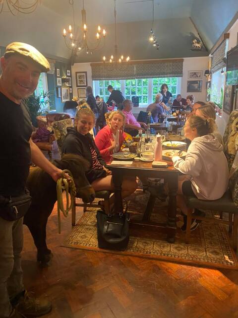 Pony is elected mayor of his city, then banned from the local pub