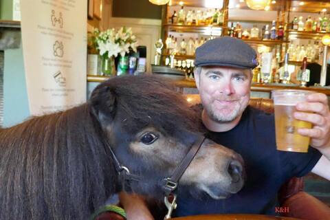 Pony is elected mayor of his city, then banned from the local pub