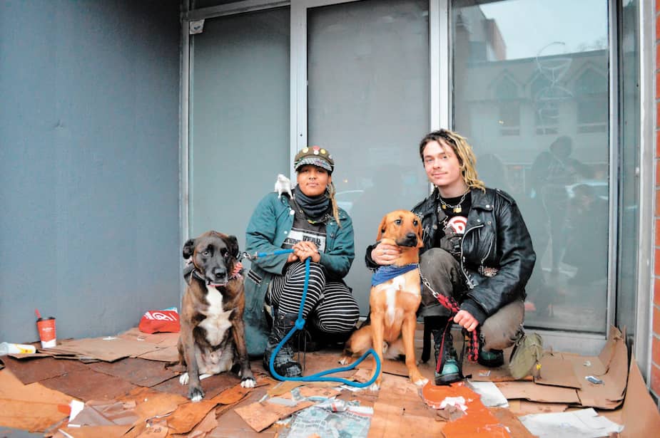 Montréal : besoin d'hébergement pour les itinérants et leur animal | 24 heures