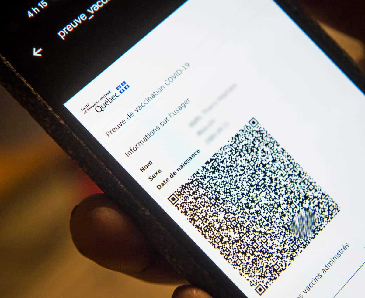 Six ostrogoths mis &agrave; l'amende par Transports Canada