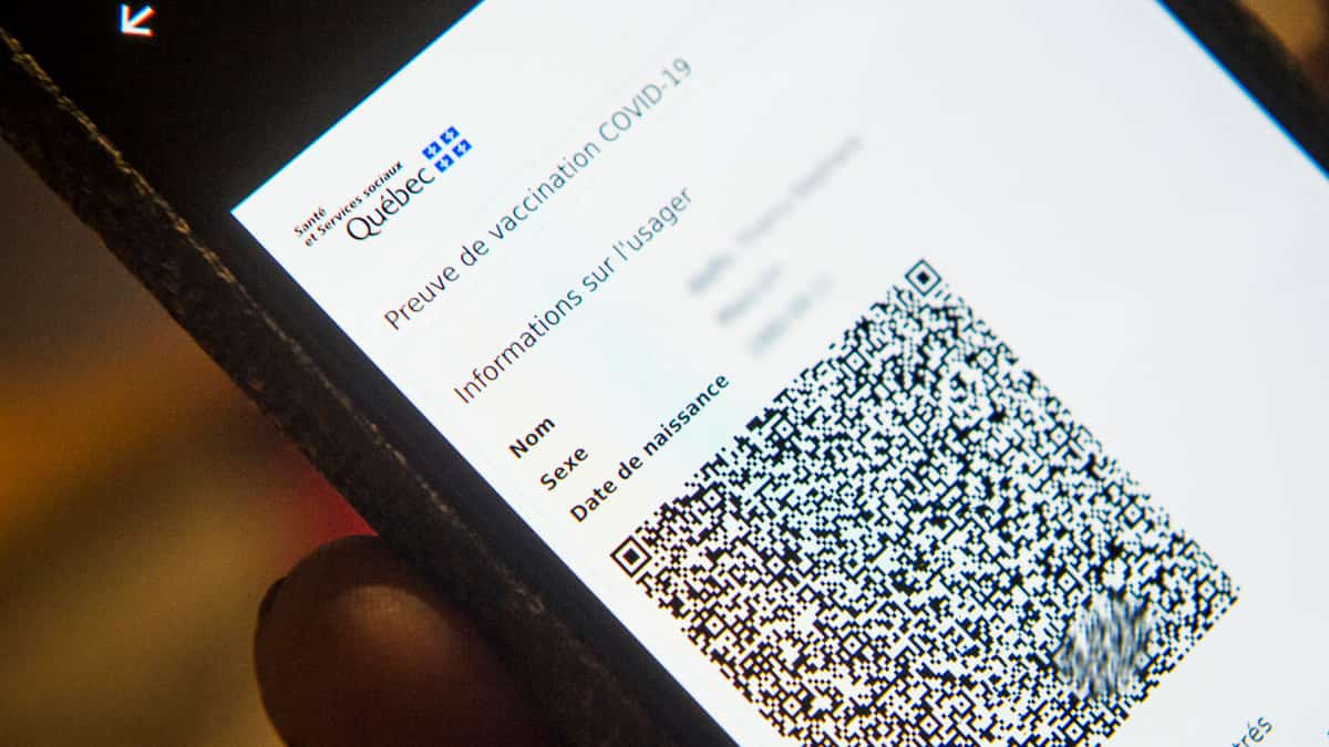 Six ostrogoths mis à l'amende par Transports Canada