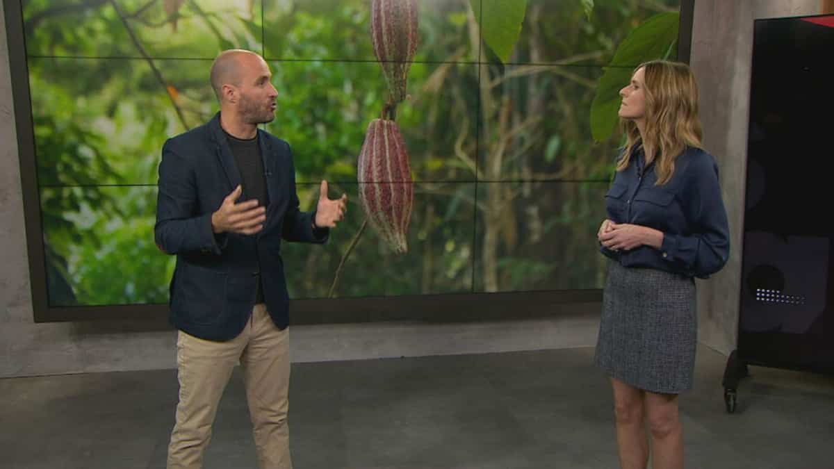 Préparez-vous: après le cacao, voilà que le prix du café devrait bondir