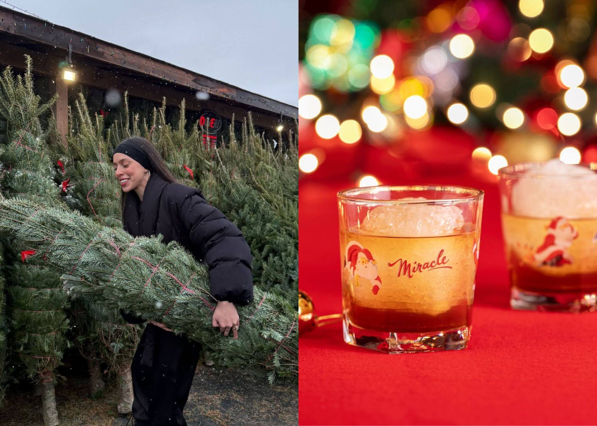 12 sorties et bons plans à ne pas manquer