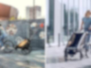 Ce chariot de vélo Thule est en rabais