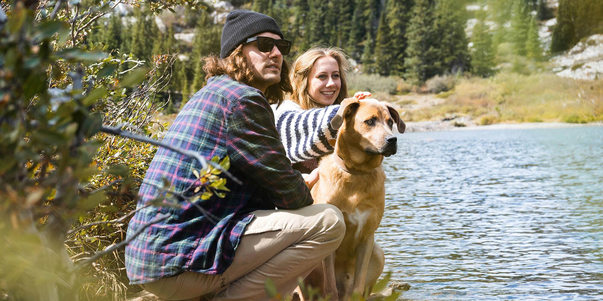 5 randonnées à faire avec votre chien au Québec