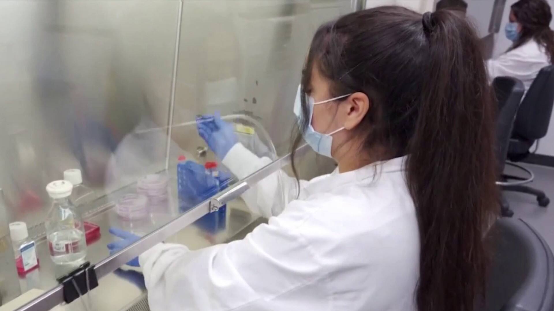 Rapport 2022 sur la prévalence du cancer