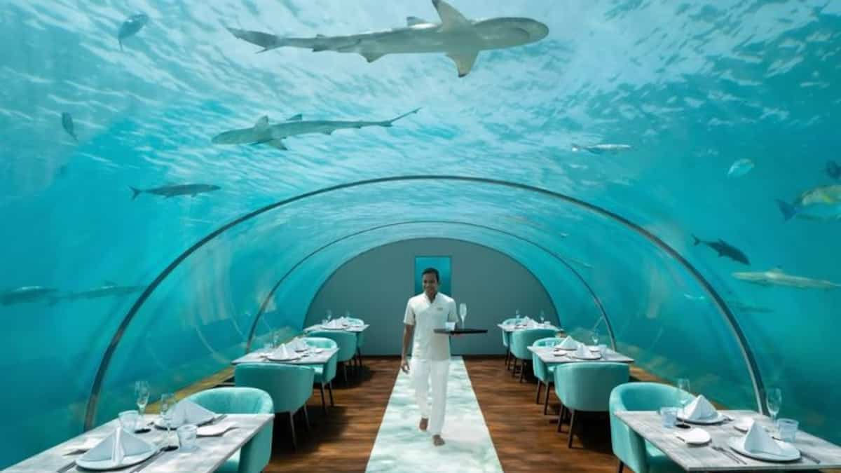 EN IMAGES | Voici 4 idées de voyage de luxe pour vous faire rêver