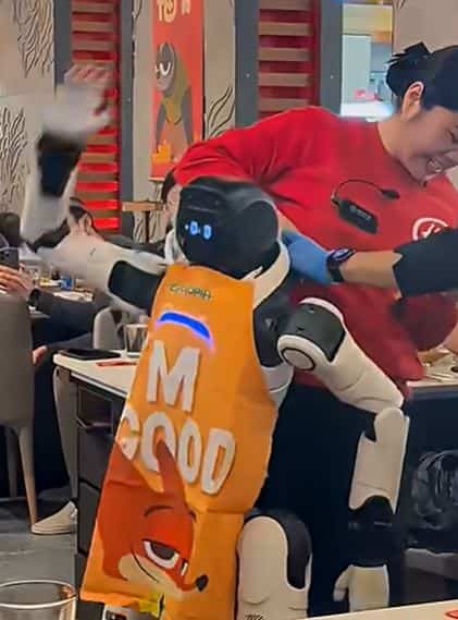 EN VID&Eacute;O | Un robot incontr&ocirc;lable s&egrave;me le chaos en brisant de la vaisselle dans un restaurant californien