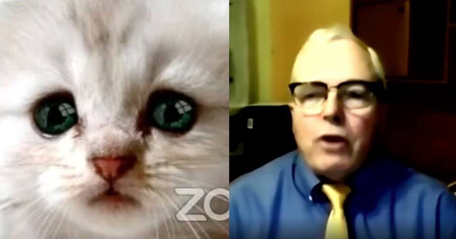 Image principale de l'article L’avocat coincé derrière un filtre de chat étonné
