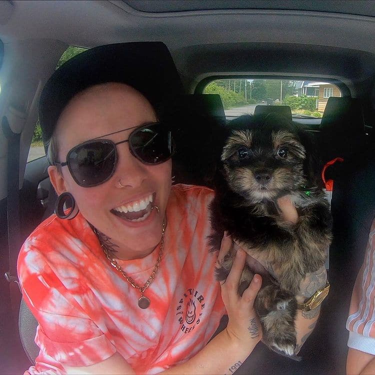 Les chiens de ces 14 vedettes québécoises